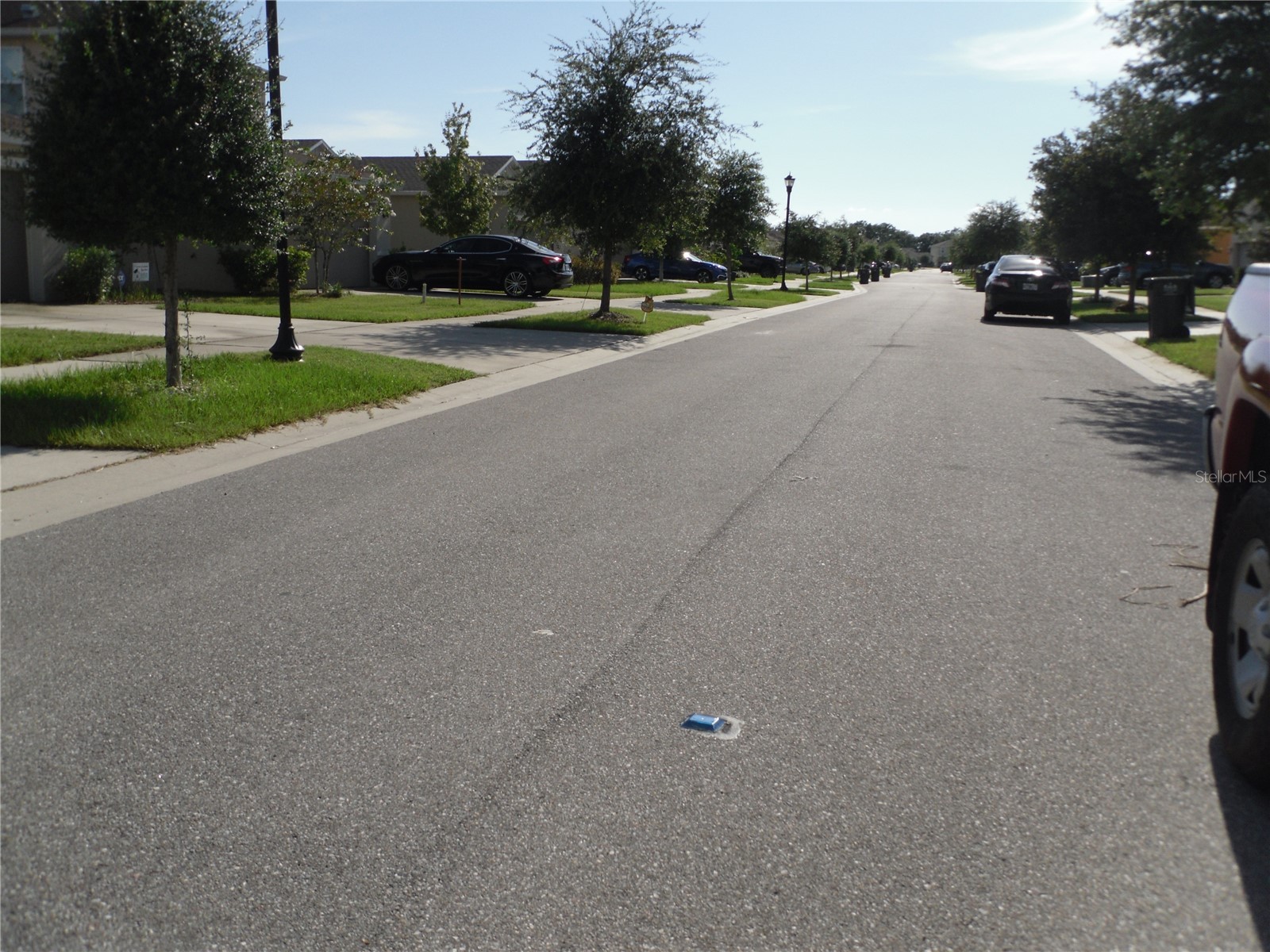 10638 Laguna Plains Drive Riverview FL 33578 TB8514541 image45