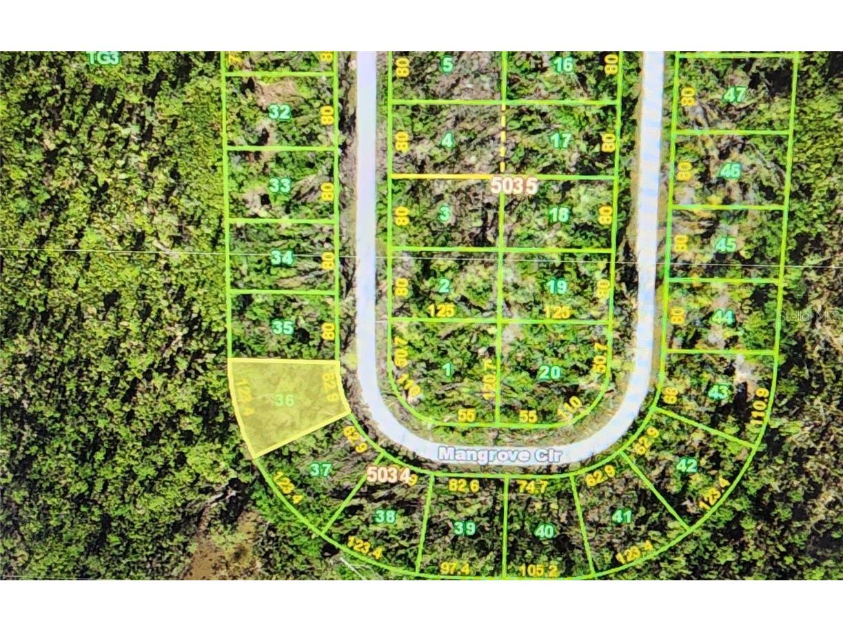 10638 Mangrove Circle Port Charlotte FL 33981 D6138078 image4