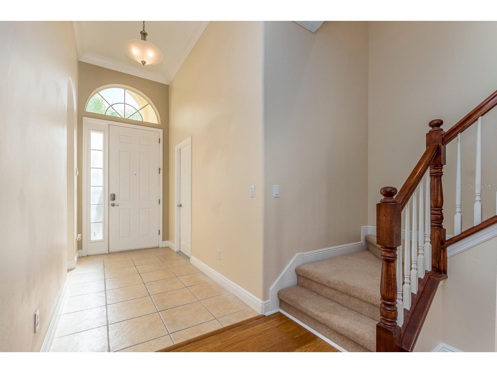 10639 Hatteras Drive Tampa FL 33615 TB8492313 image3