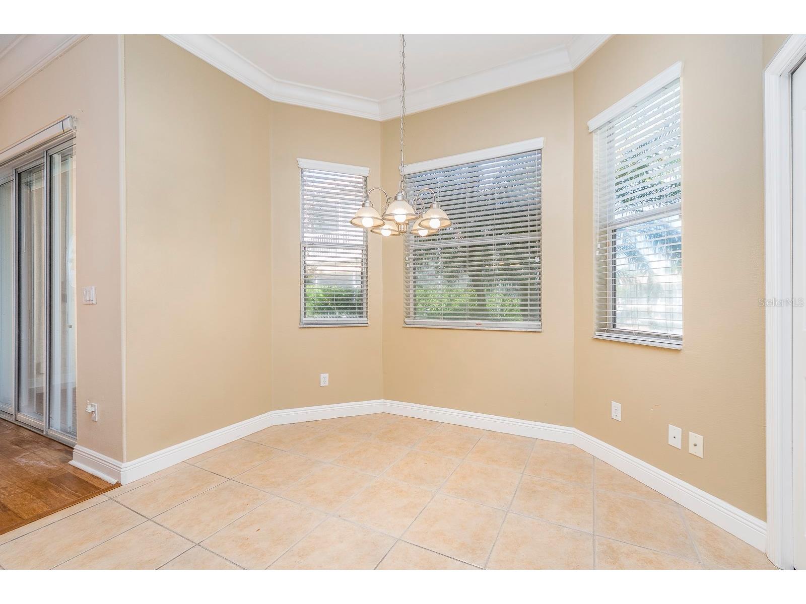 10639 Hatteras Drive Tampa FL 33615 TB8492313 image8