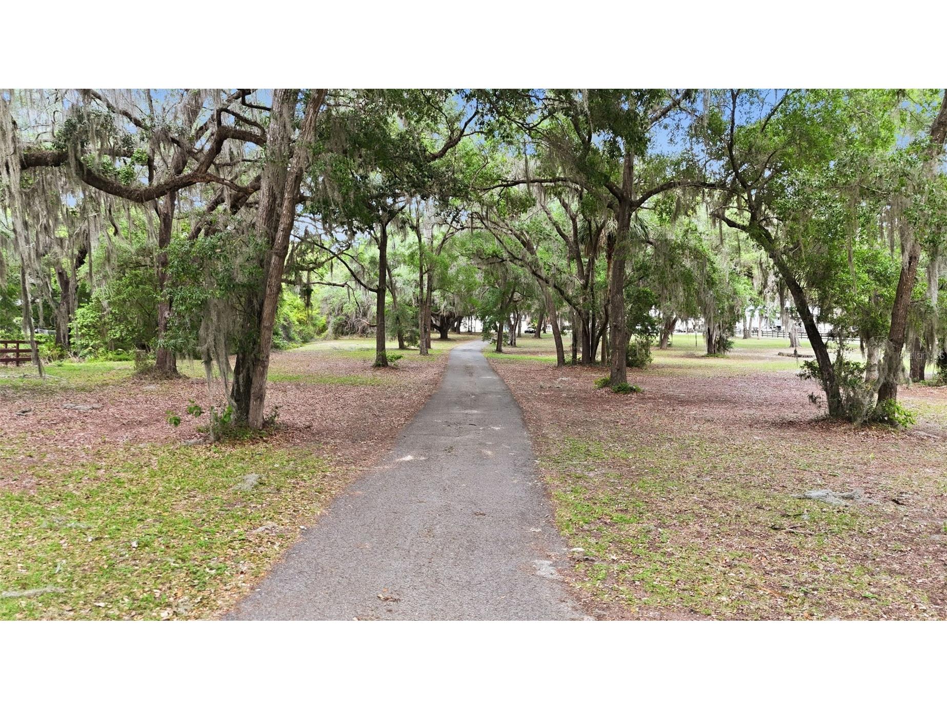 10639 SE Sunset Harbor Road Summerfield FL 34491 G5109227 image4