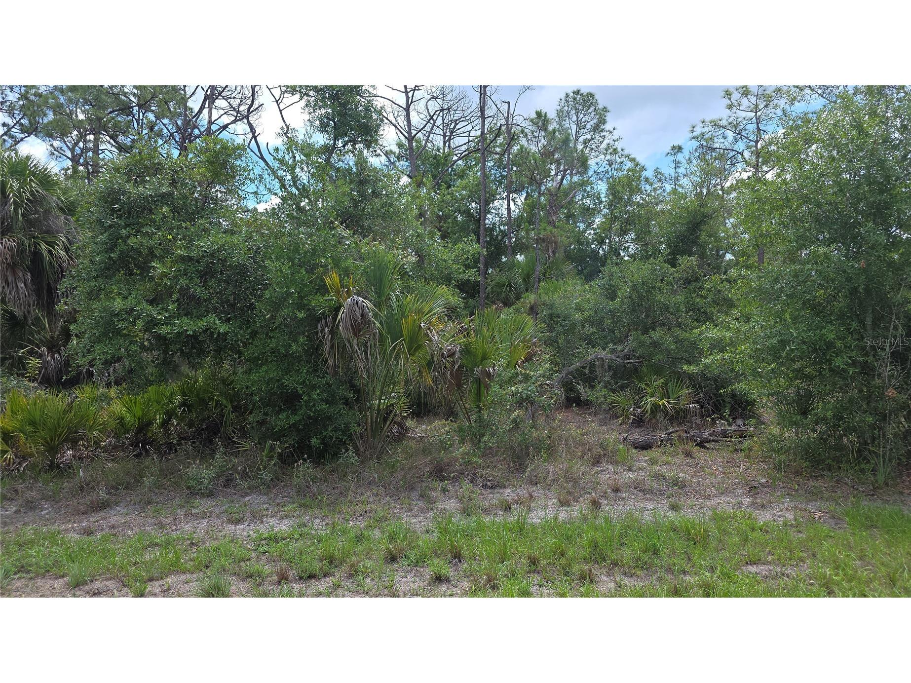 1064 Border Street Port Charlotte FL 33953 C7520855 image2