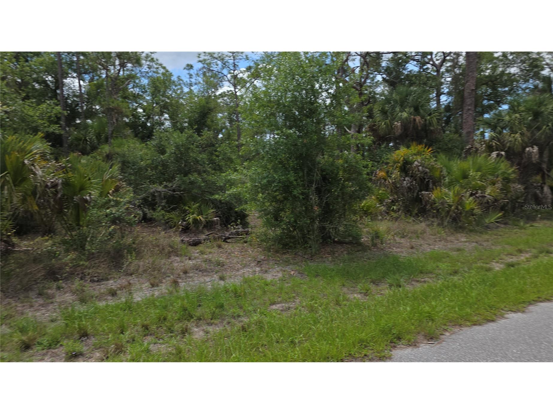 1064 Border Street Port Charlotte FL 33953 C7520855 image4