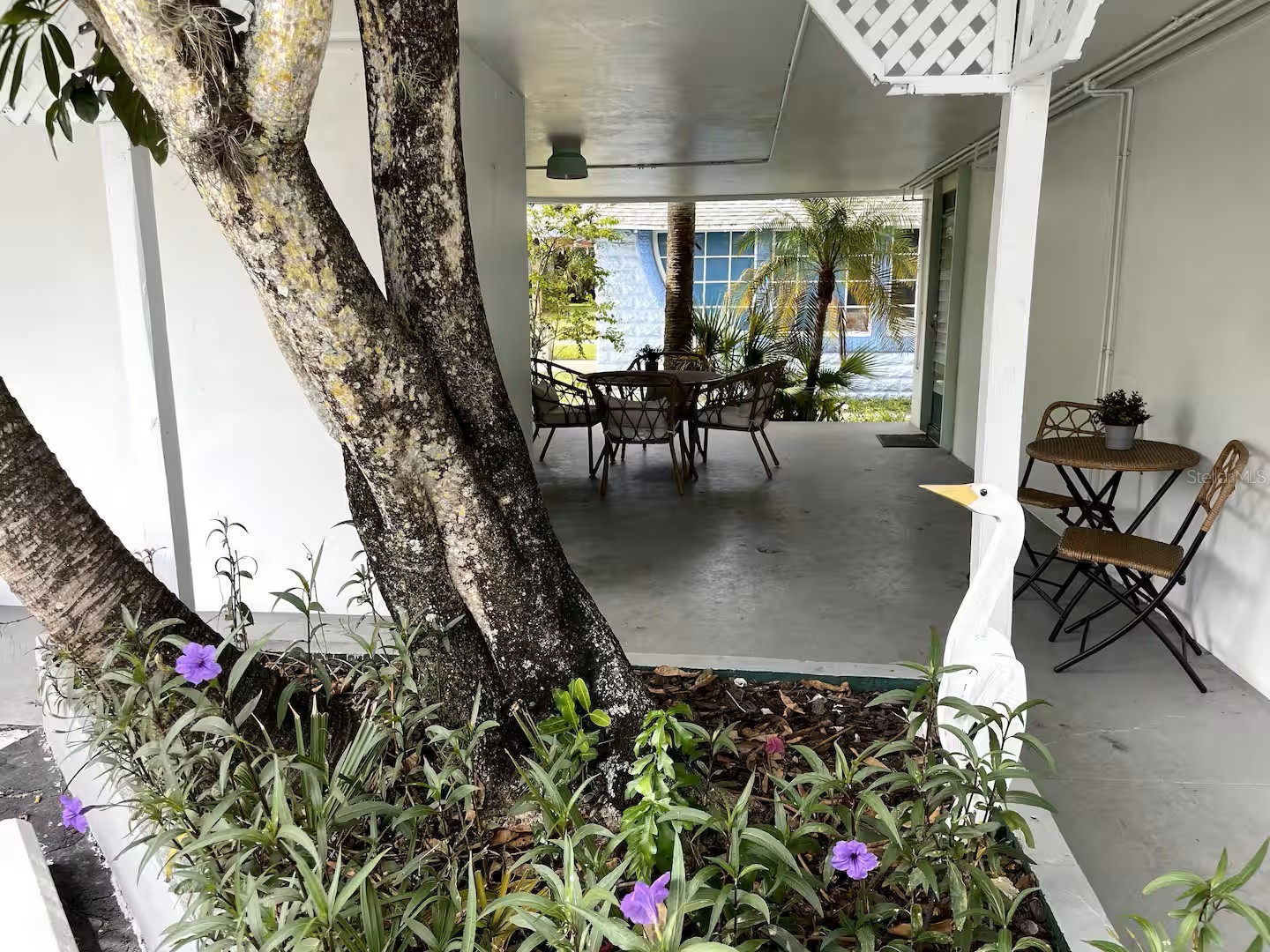 1064 Broadway Dunedin FL 34698 TB8472691 image20