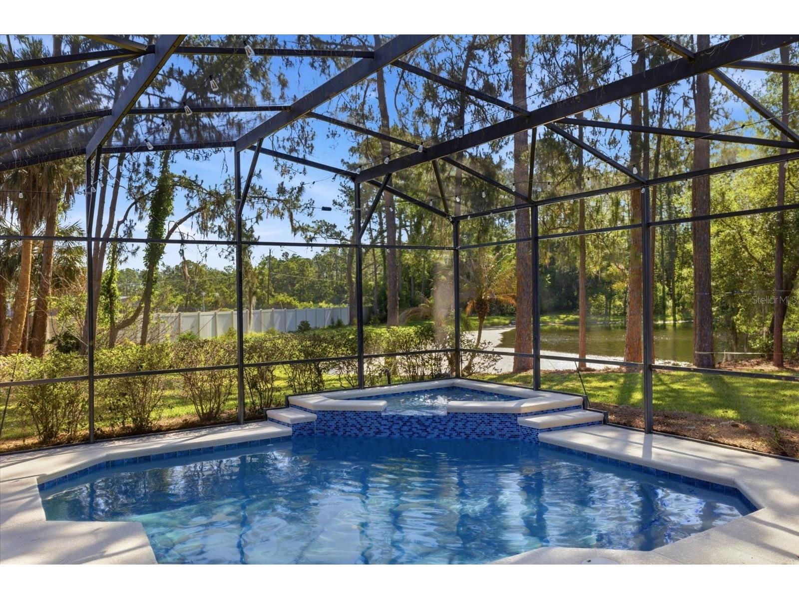 1064 Ceasars Court Mount Dora FL 32757 O6406466 image33