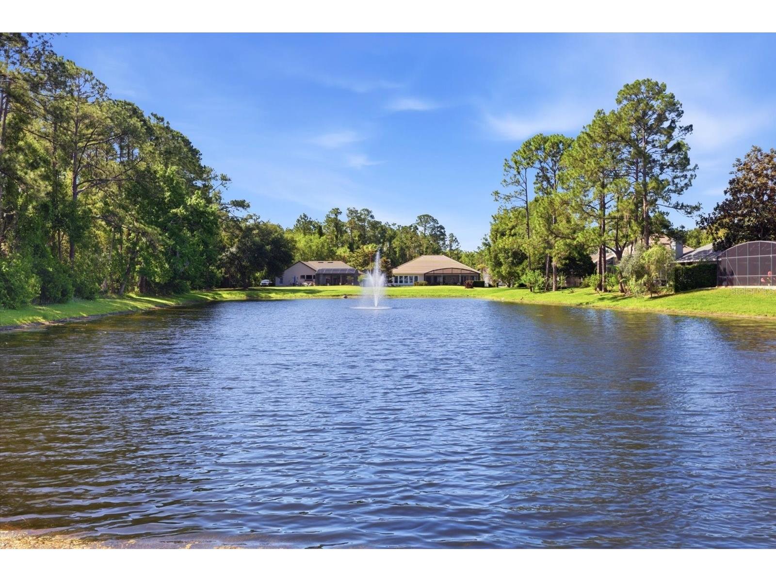 1064 Ceasars Court Mount Dora FL 32757 O6406466 image34