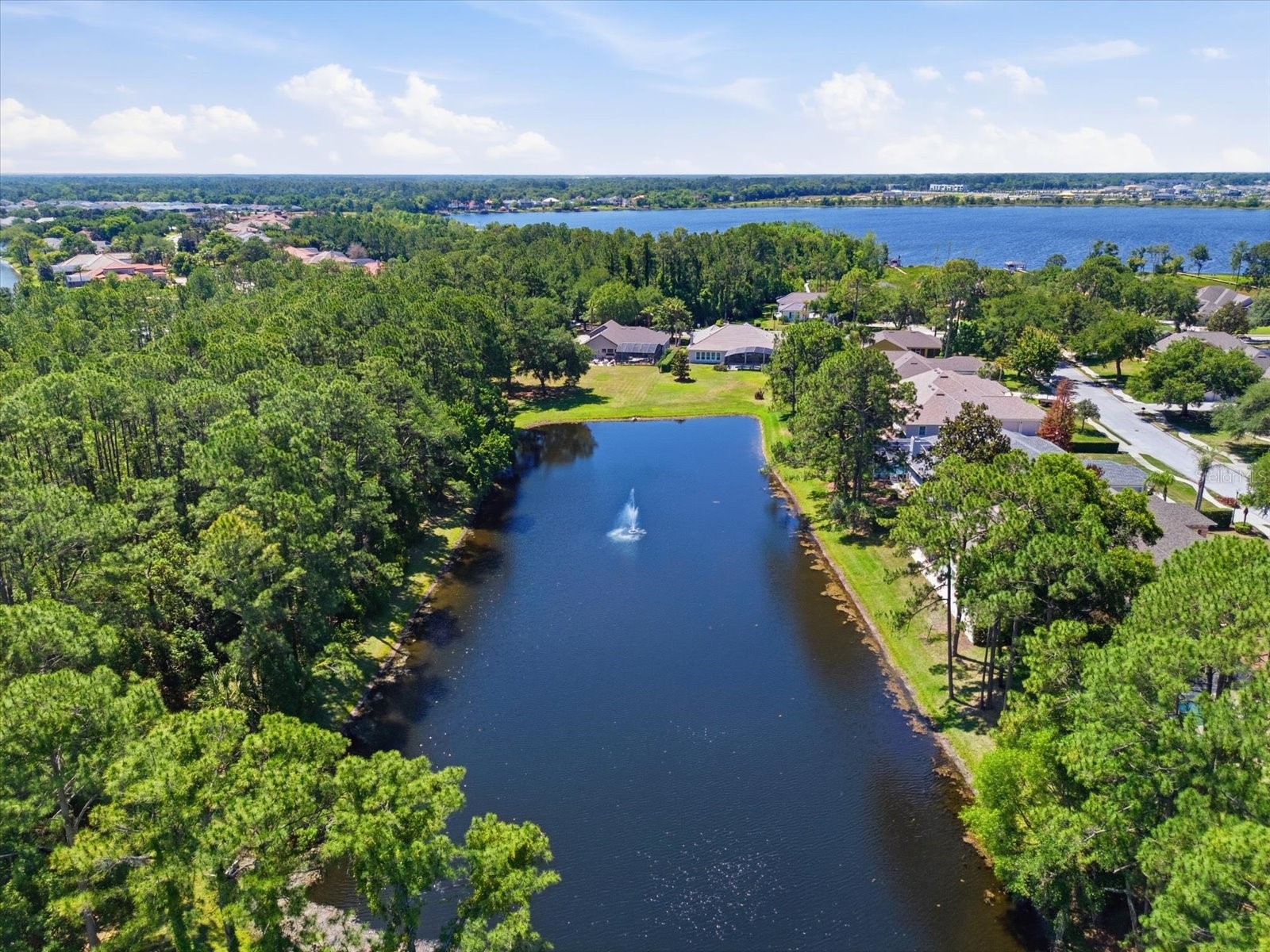 1064 Ceasars Court Mount Dora FL 32757 O6406466 image37