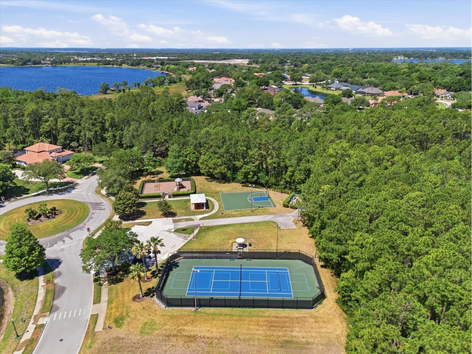 1064 Ceasars Court Mount Dora FL 32757 O6406466 image39