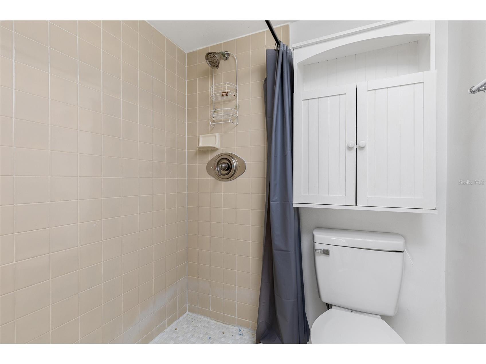 1064 Lotus Parkway #941 Altamonte Springs FL 32714 - LAKE LOTUS O6400519 image22