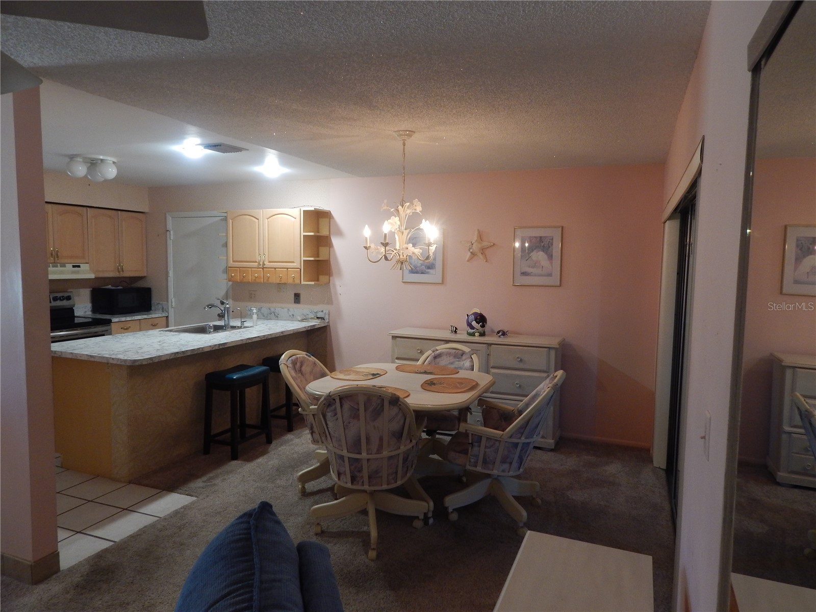10640 Deergrass Lane Orlando FL 32821 O6378774 image16