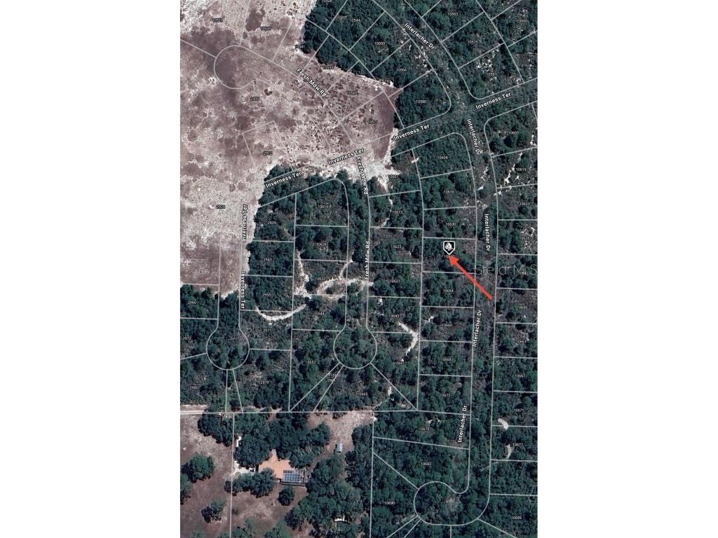 10640 Interlacher Drive Sebring FL 33875 O6270561 image6