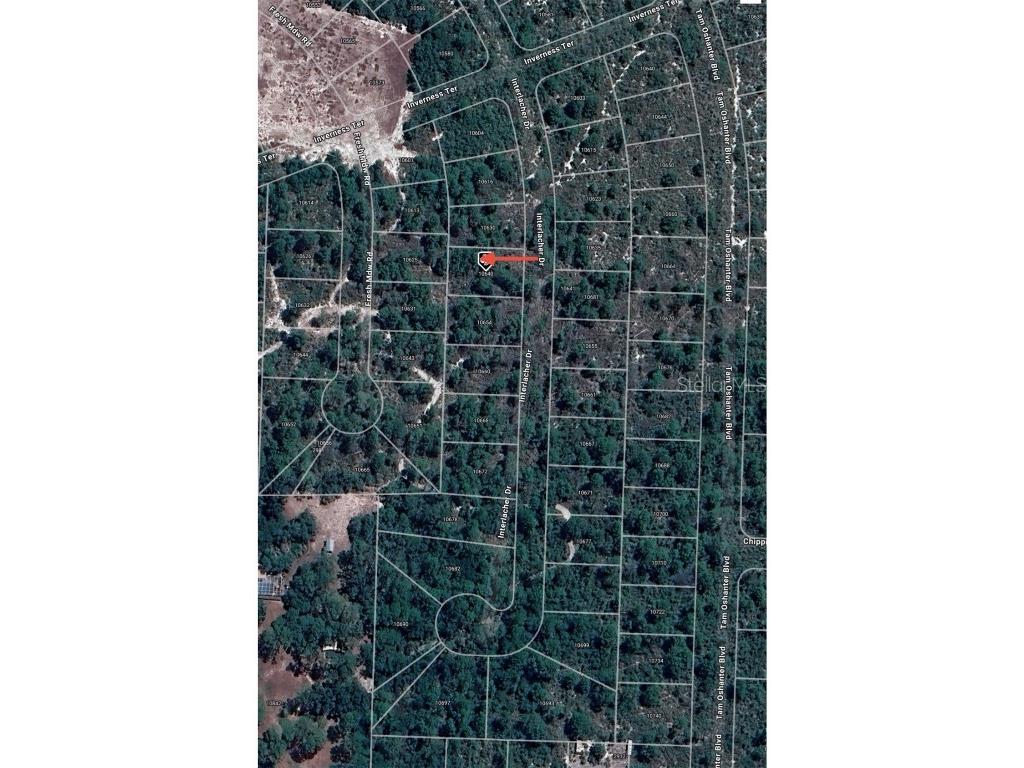 10640 Interlacher Drive Sebring FL 33875 O6270561 image8