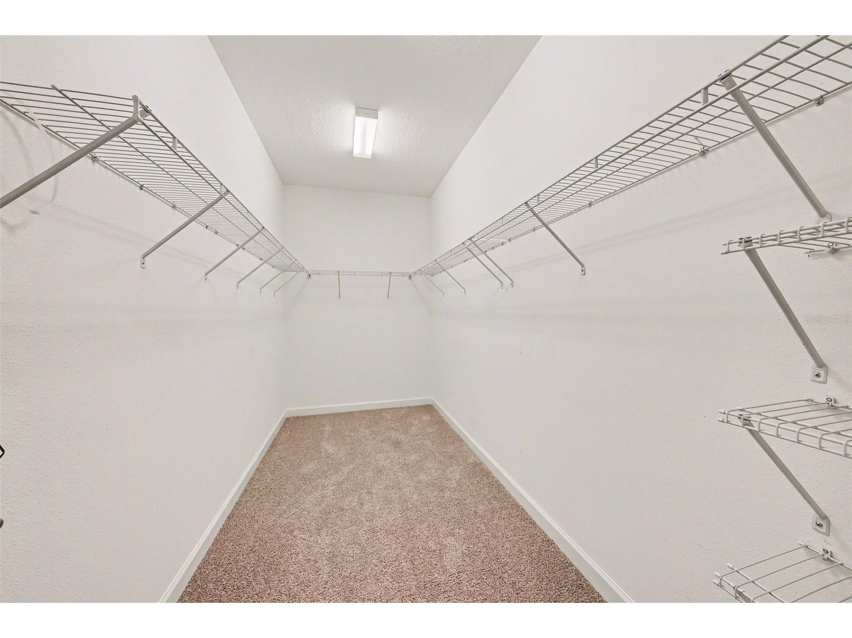 10641 Bahama Woodstar Court Riverview FL 33579 TB8491312 image10
