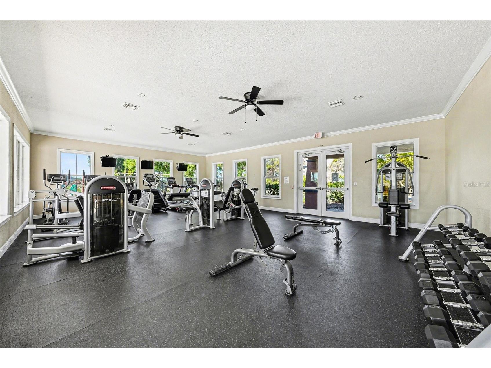 10641 Bahama Woodstar Court Riverview FL 33579 TB8491312 image27