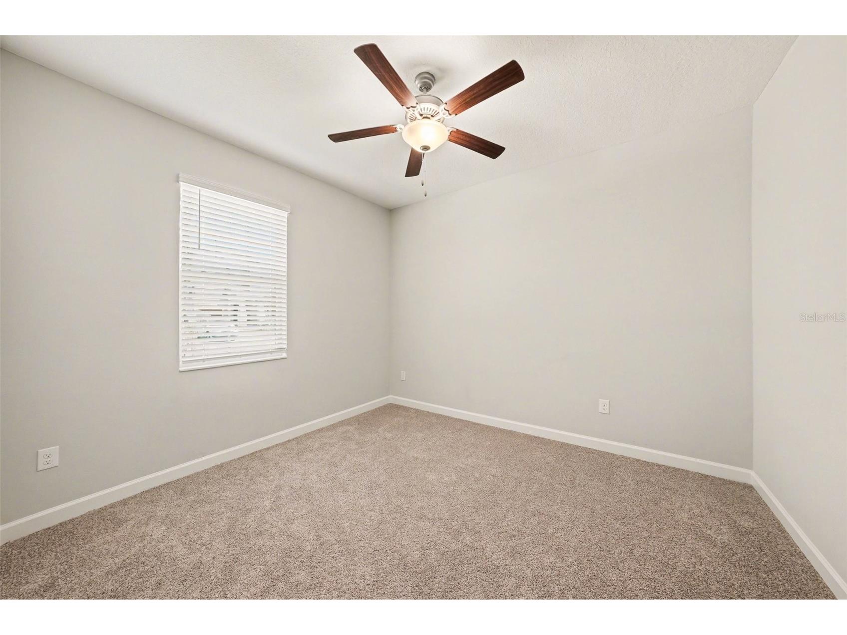10641 Bahama Woodstar Court Riverview FL 33579 TB8491312 image33