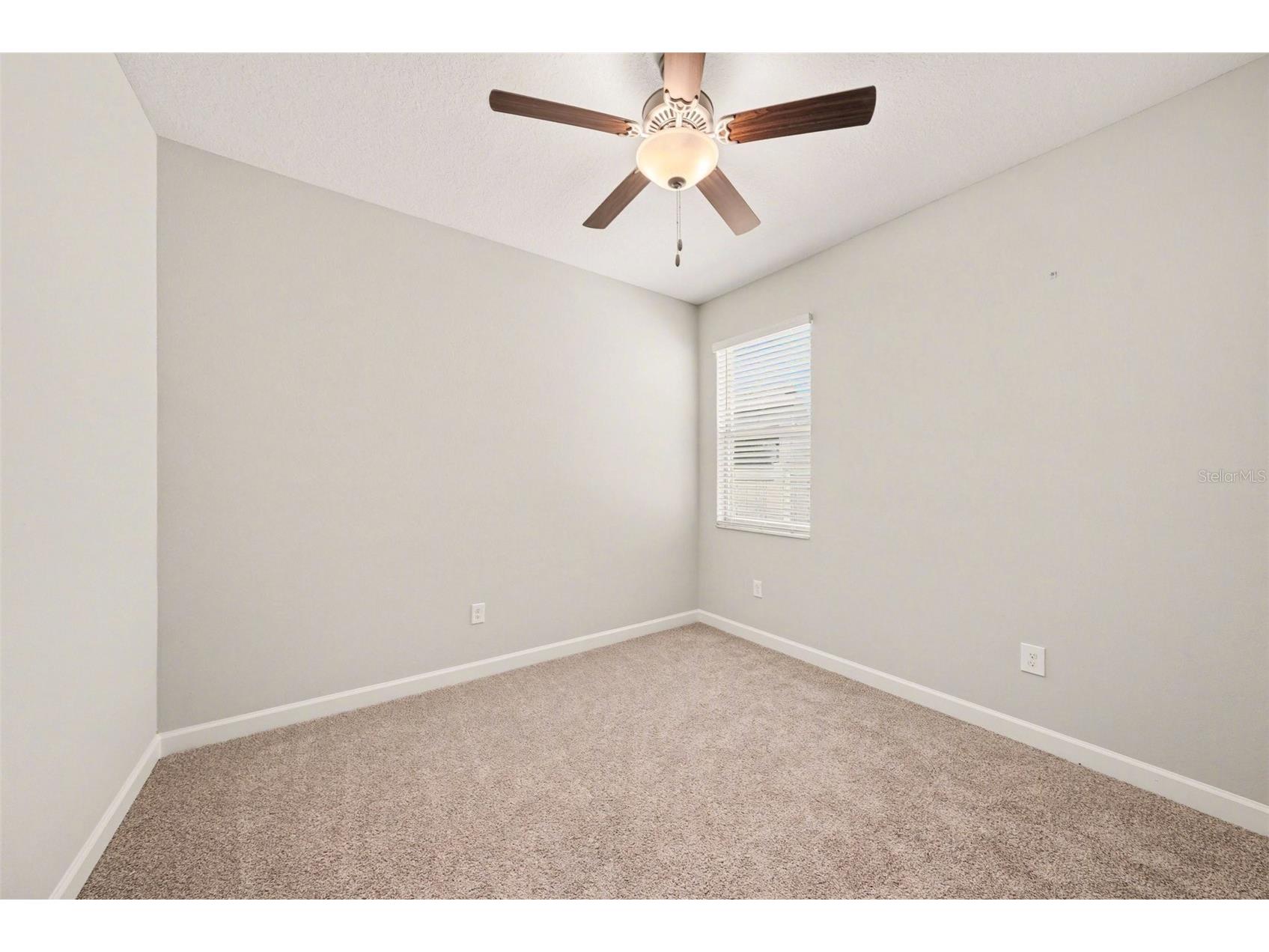 10641 Bahama Woodstar Court Riverview FL 33579 TB8491312 image36
