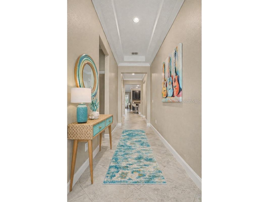 10641 Bahama Woodstar Court Riverview FL 33579 TB8491312 image6