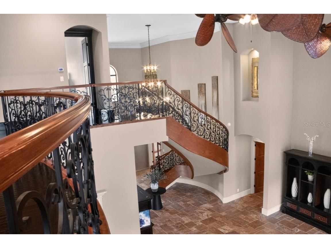 10641 Broadland Pass Thonotosassa FL 33592 TB8453617 image23