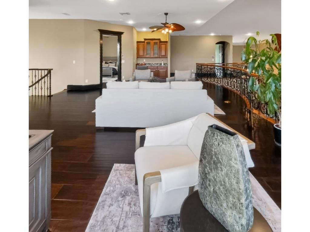 10641 Broadland Pass Thonotosassa FL 33592 TB8453617 image26