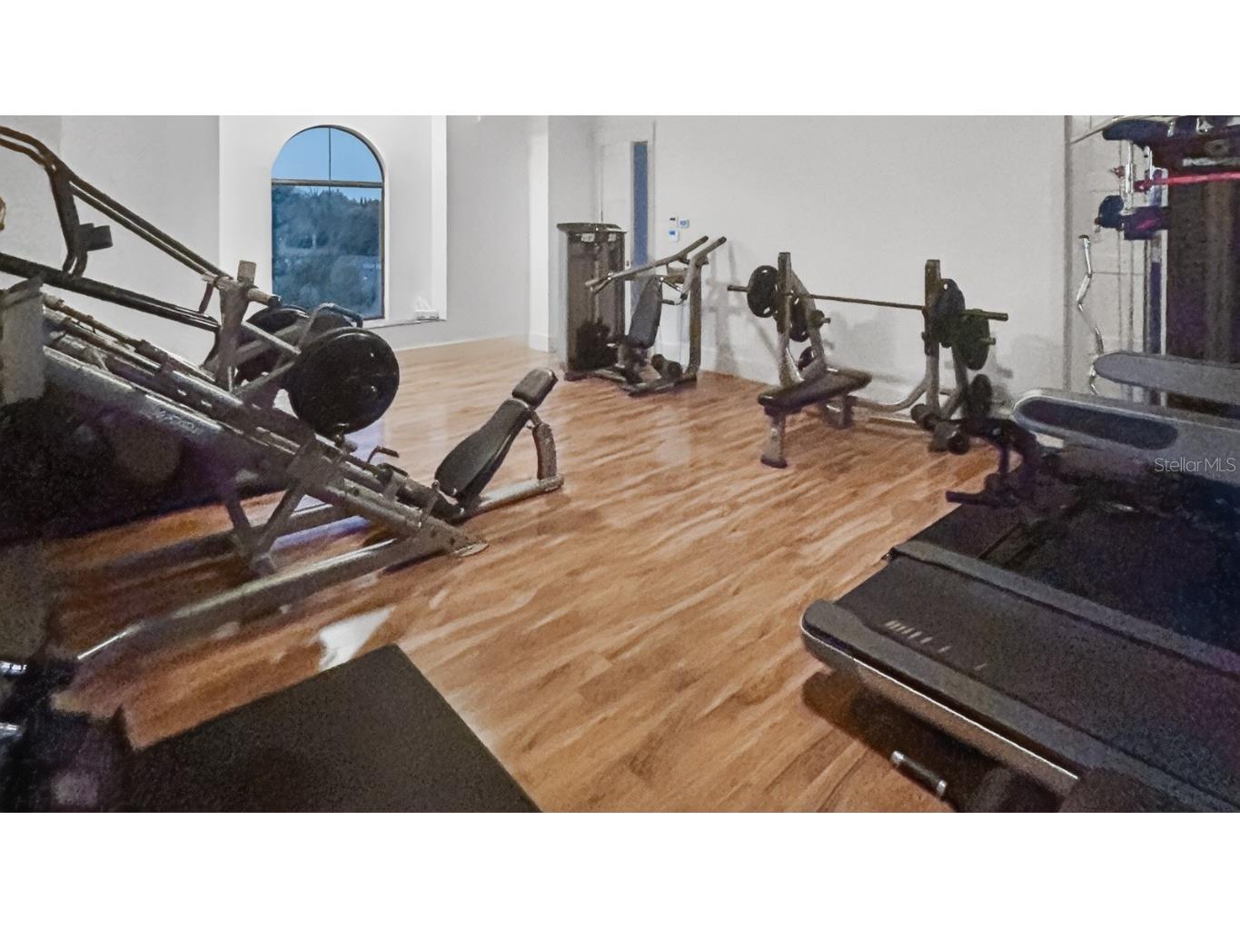 10641 Broadland Pass Thonotosassa FL 33592 TB8453617 image61