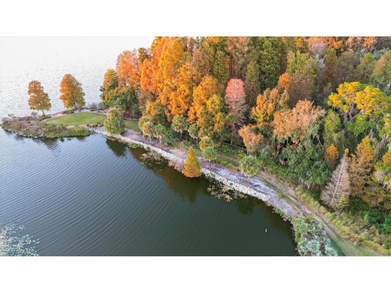 10641 Broadland Pass Thonotosassa FL 33592 TB8453617 image73