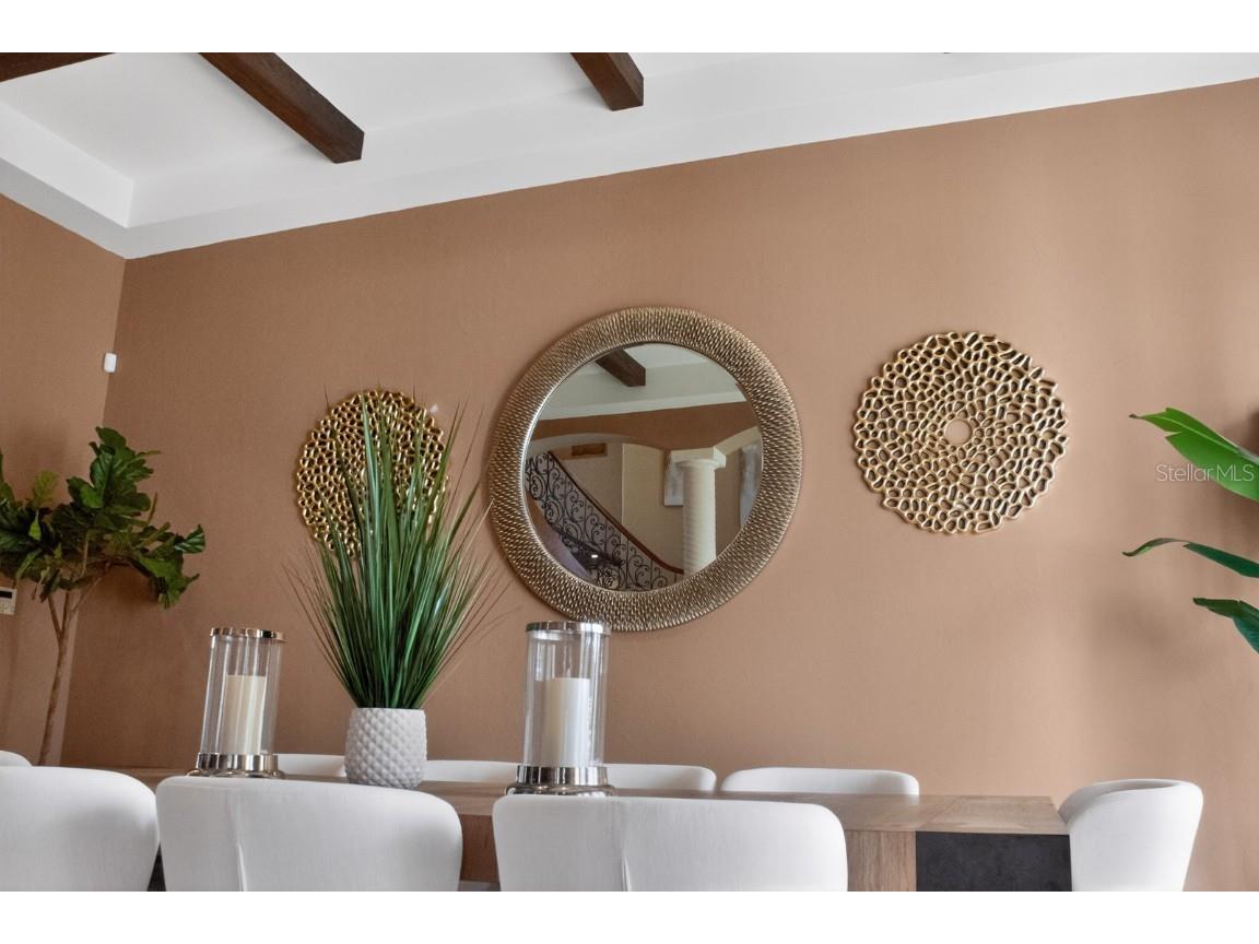 10641 Broadland Pass Thonotosassa FL 33592 TB8453617 image9