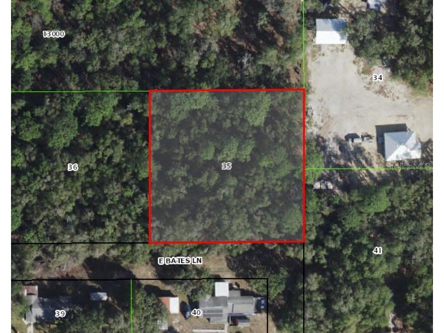 10641 E Bates Lane Inverness FL 34450 O6360824 image1