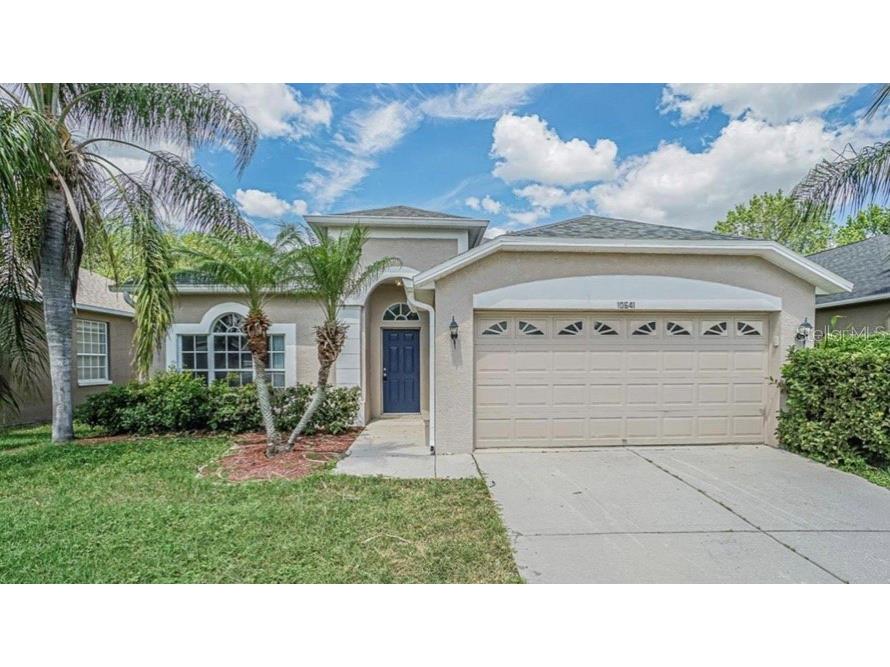 10641 Firebrick Court Trinity FL 34655 U8249874 image1