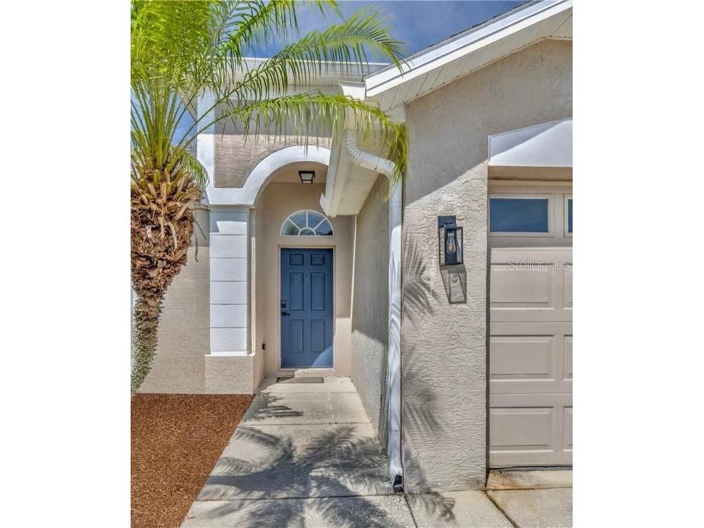 10641 Firebrick Court Trinity FL 34655 TB8450086 image2