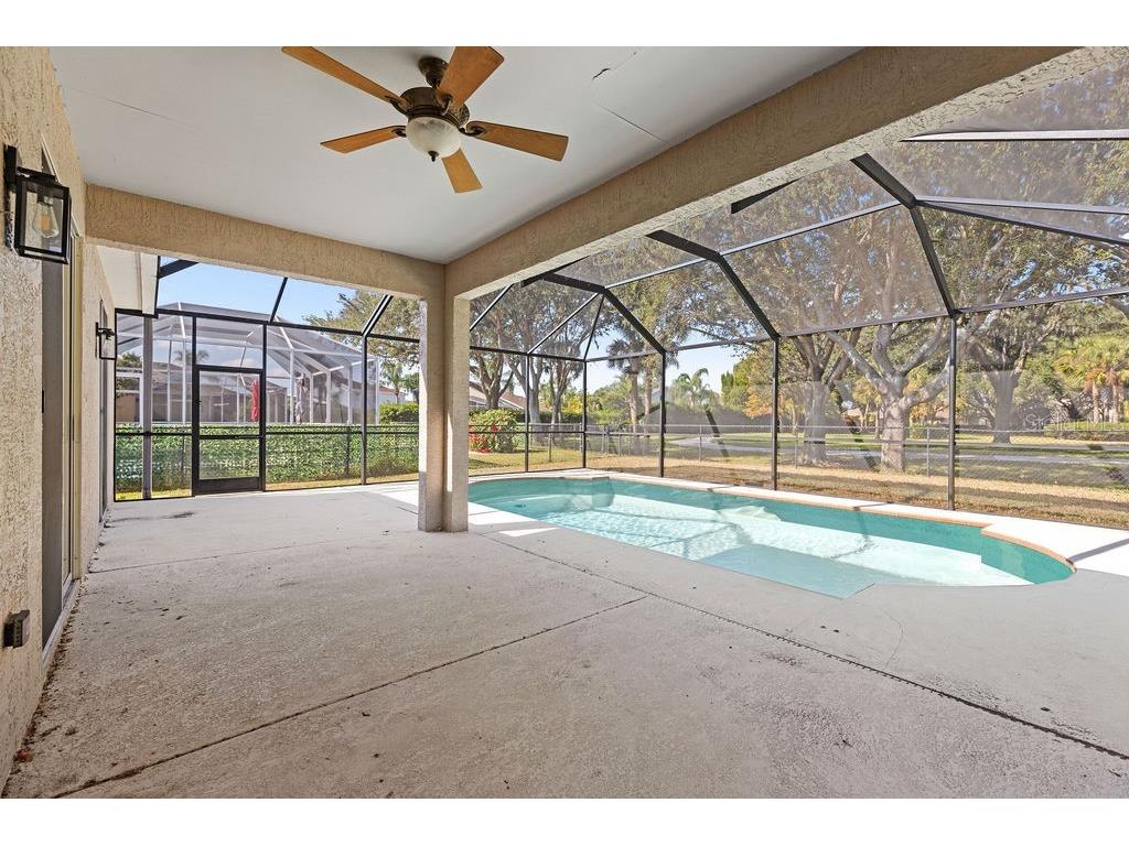 10641 Firebrick Court Trinity FL 34655 TB8450086 image27