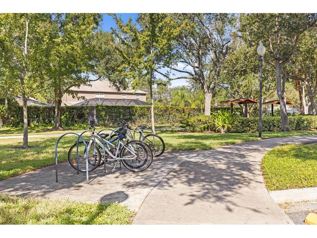 10641 Firebrick Court Trinity FL 34655 TB8450086 image36