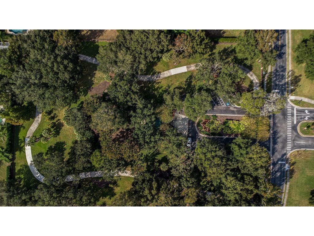 10641 Firebrick Court Trinity FL 34655 TB8450086 image47