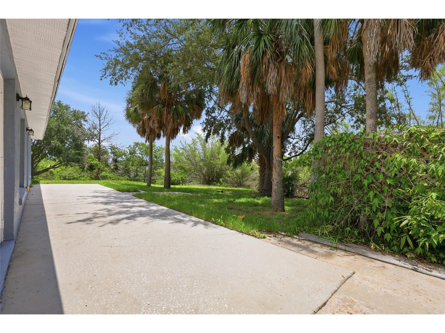 10641 Lake Ralph Drive Clermont FL 34711 O6420648 image21
