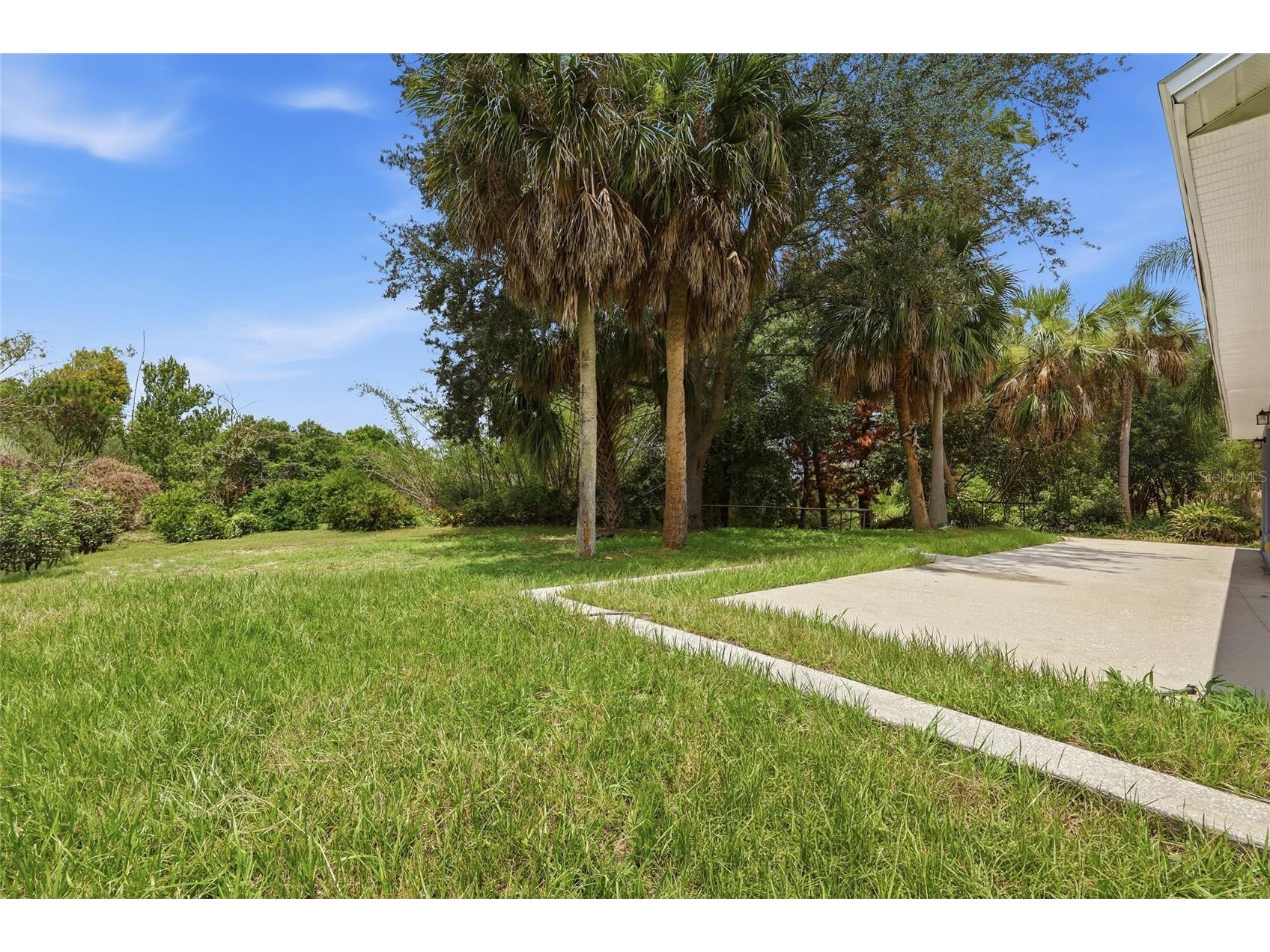 10641 Lake Ralph Drive Clermont FL 34711 O6420648 image27