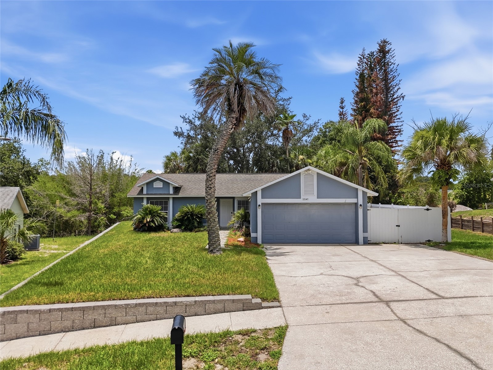 10641 Lake Ralph Drive Clermont FL 34711 O6420648 image4