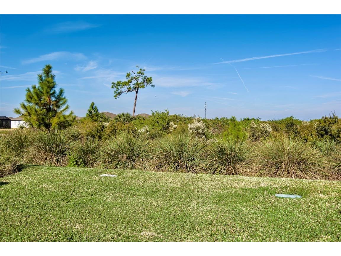 10641 Spring Tide Way Parrish FL 34219 A4673122 image27