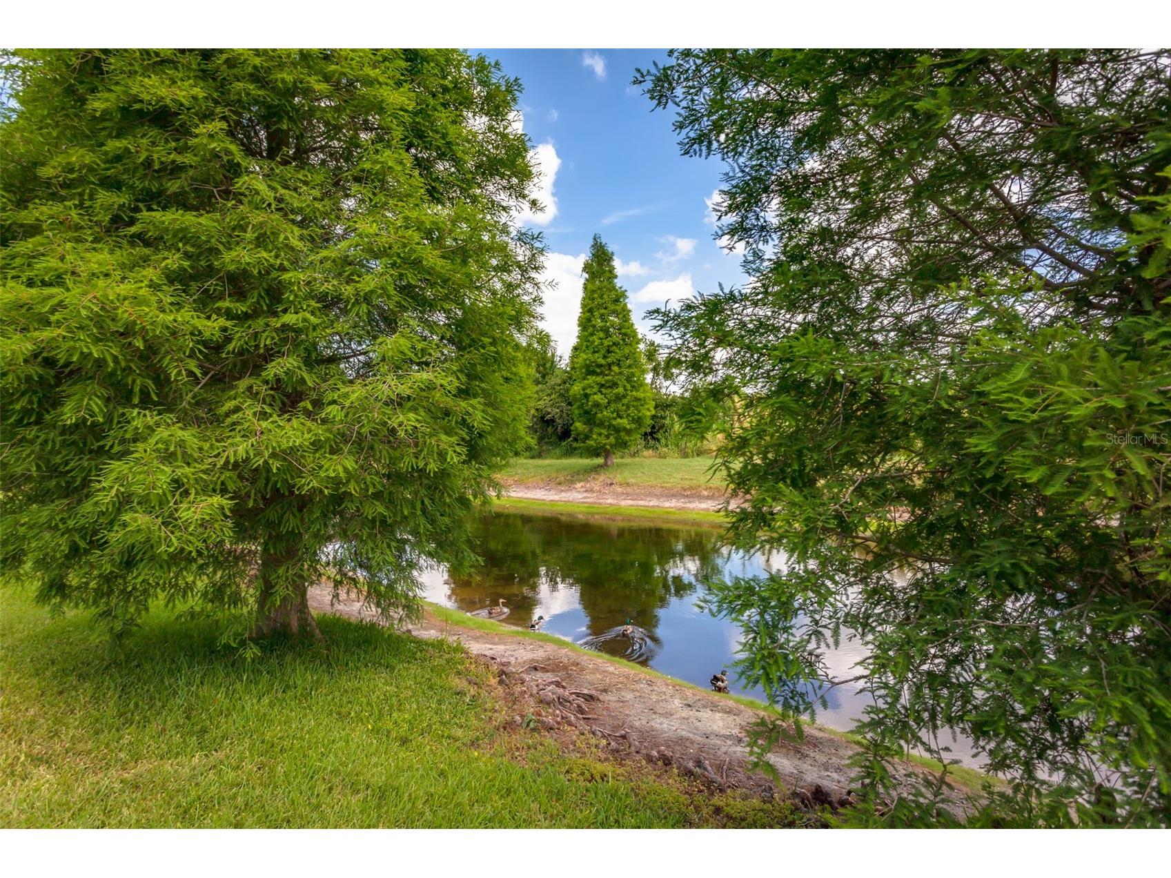 10642 Lake Montauk Drive Riverview FL 33578 L4959406 image26