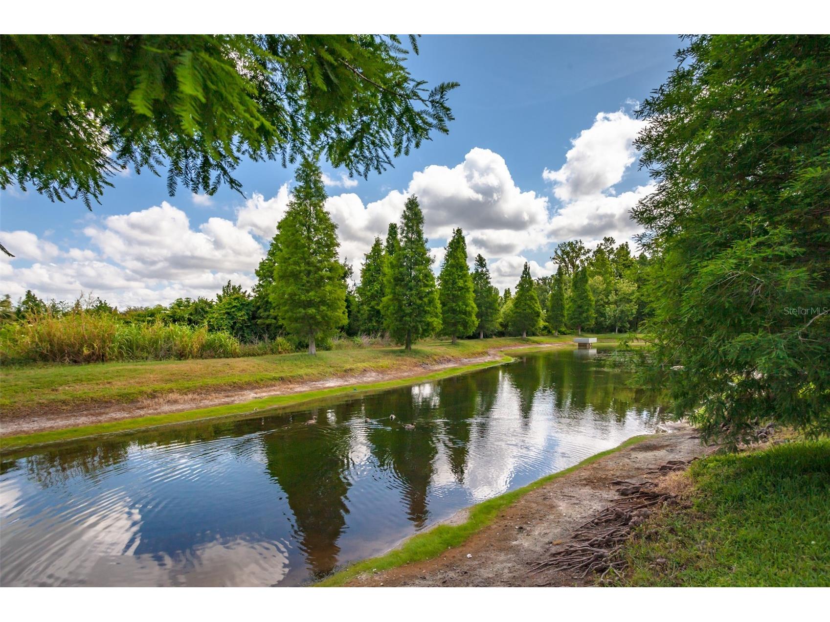 10642 Lake Montauk Drive Riverview FL 33578 L4959406 image27