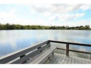 10643 Lake Montauk Drive Riverview FL 33578 TB8492919 image21