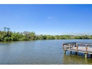 10643 Lake Montauk Drive Riverview FL 33578 TB8492919 image23