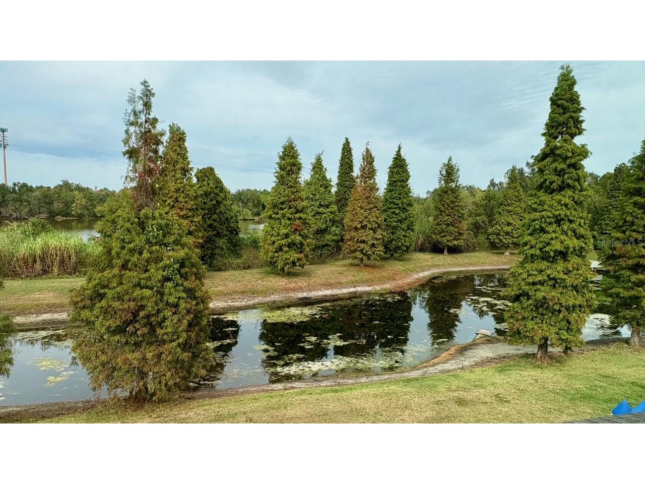 10644 Lake Montauk Drive Riverview FL 33578 W7881110 image2