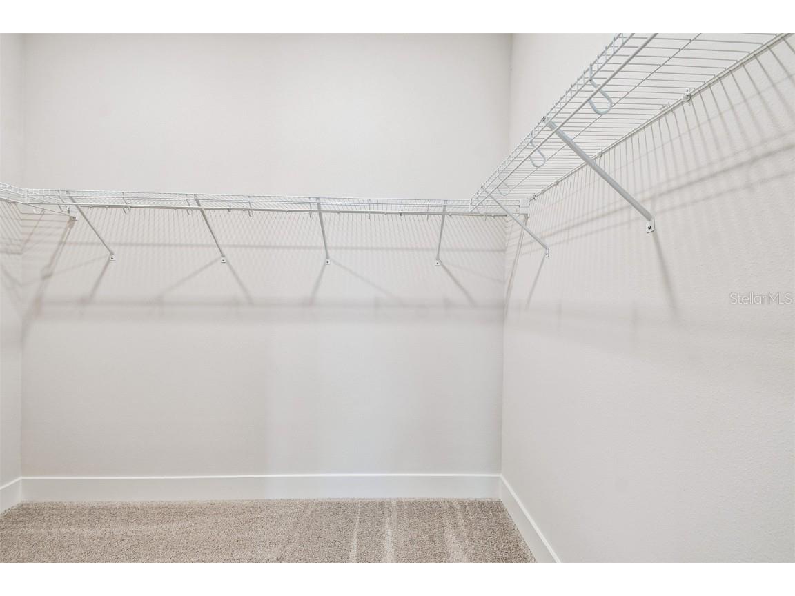 10645 Crescent Creek Crossing Parrish FL 34219 TB8431837 image22