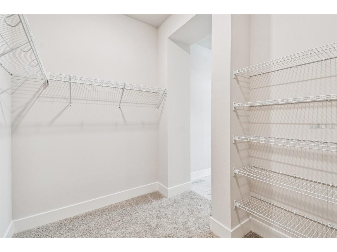 10645 Crescent Creek Crossing Parrish FL 34219 TB8431837 image23