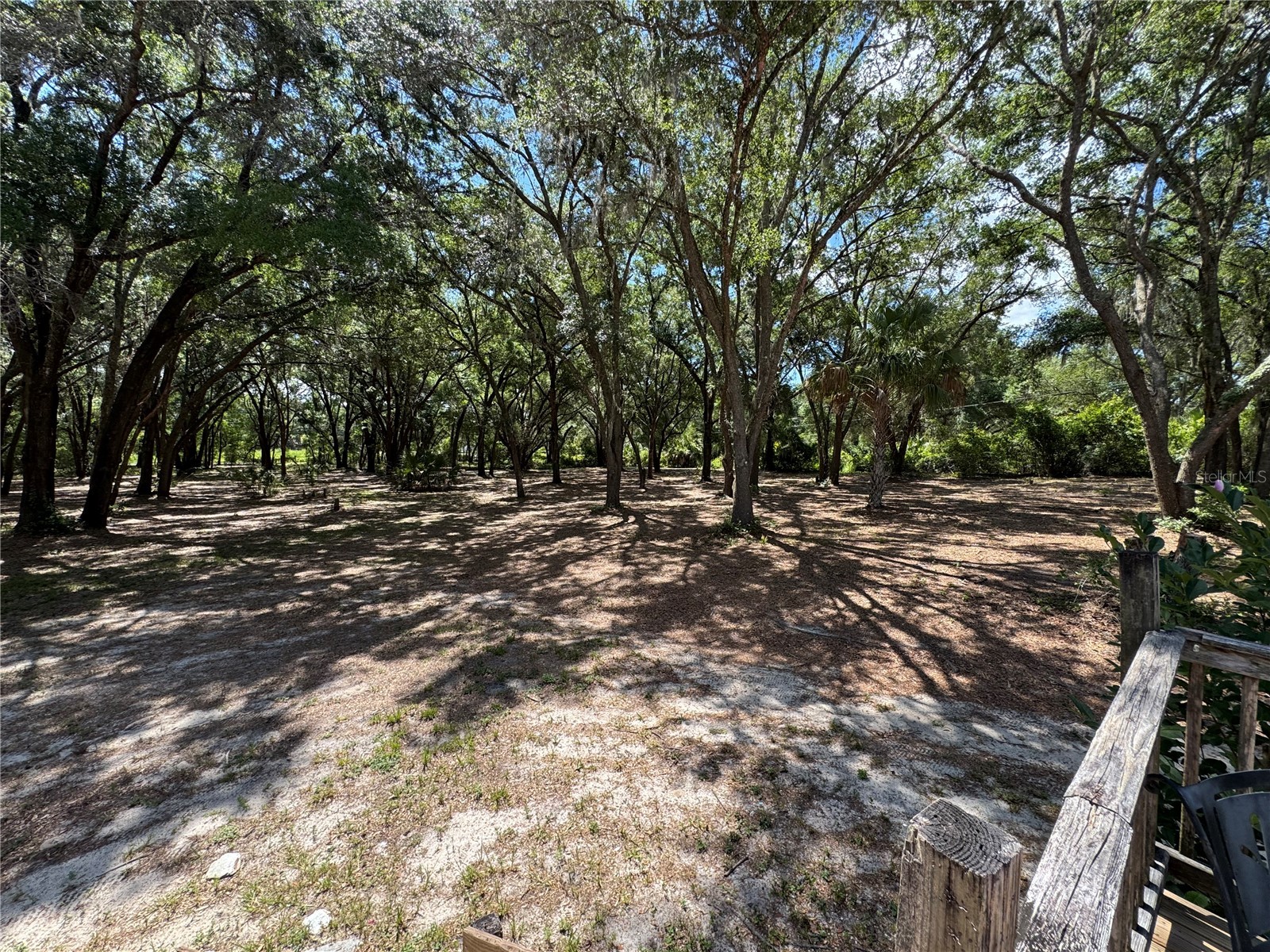 10645 SE 145th Street Summerfield FL 34491 G5113672 image2