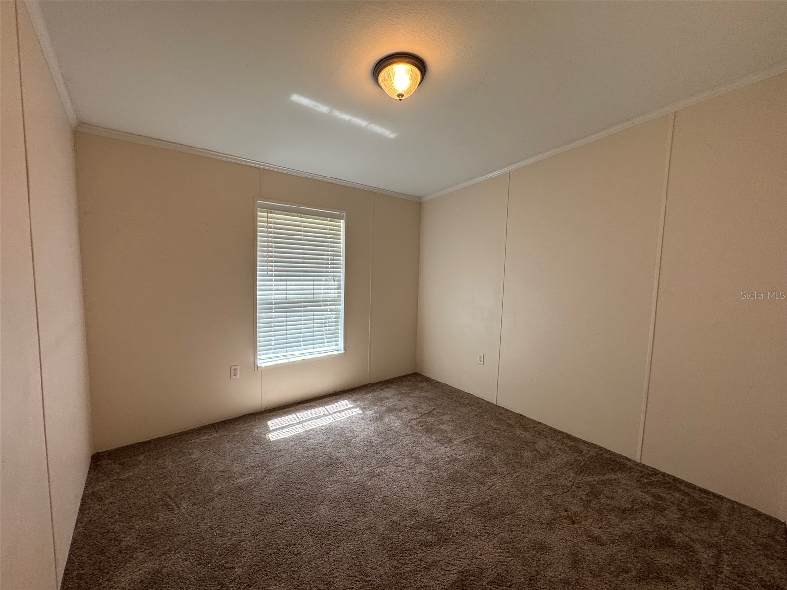 10645 SE 145th Street Summerfield FL 34491 G5113672 image21