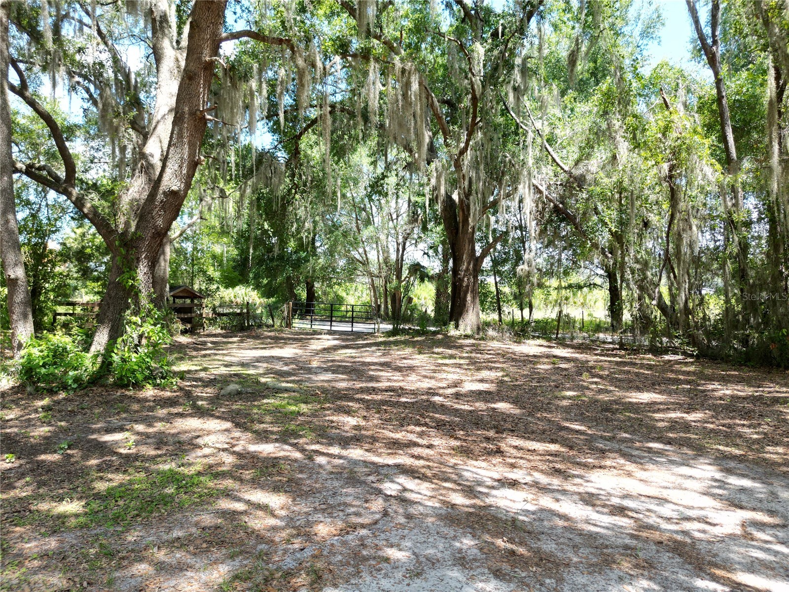 10645 SE 145th Street Summerfield FL 34491 G5113672 image27