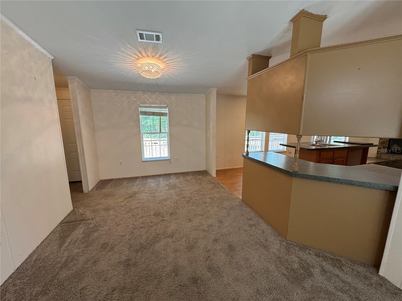 10645 SE 145th Street Summerfield FL 34491 G5113672 image8