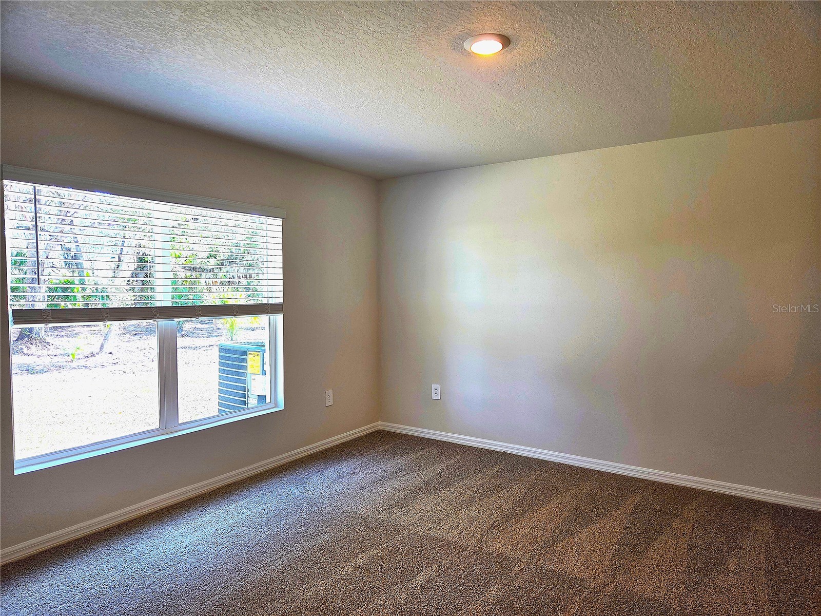 10646 Hidden Banks Glen Parrish FL 34219 TB8514644 image13