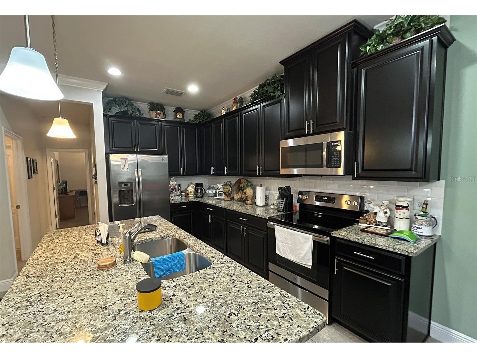 10647 Heron Hideaway Loop Land O Lakes FL 34638 TB8467591 image4