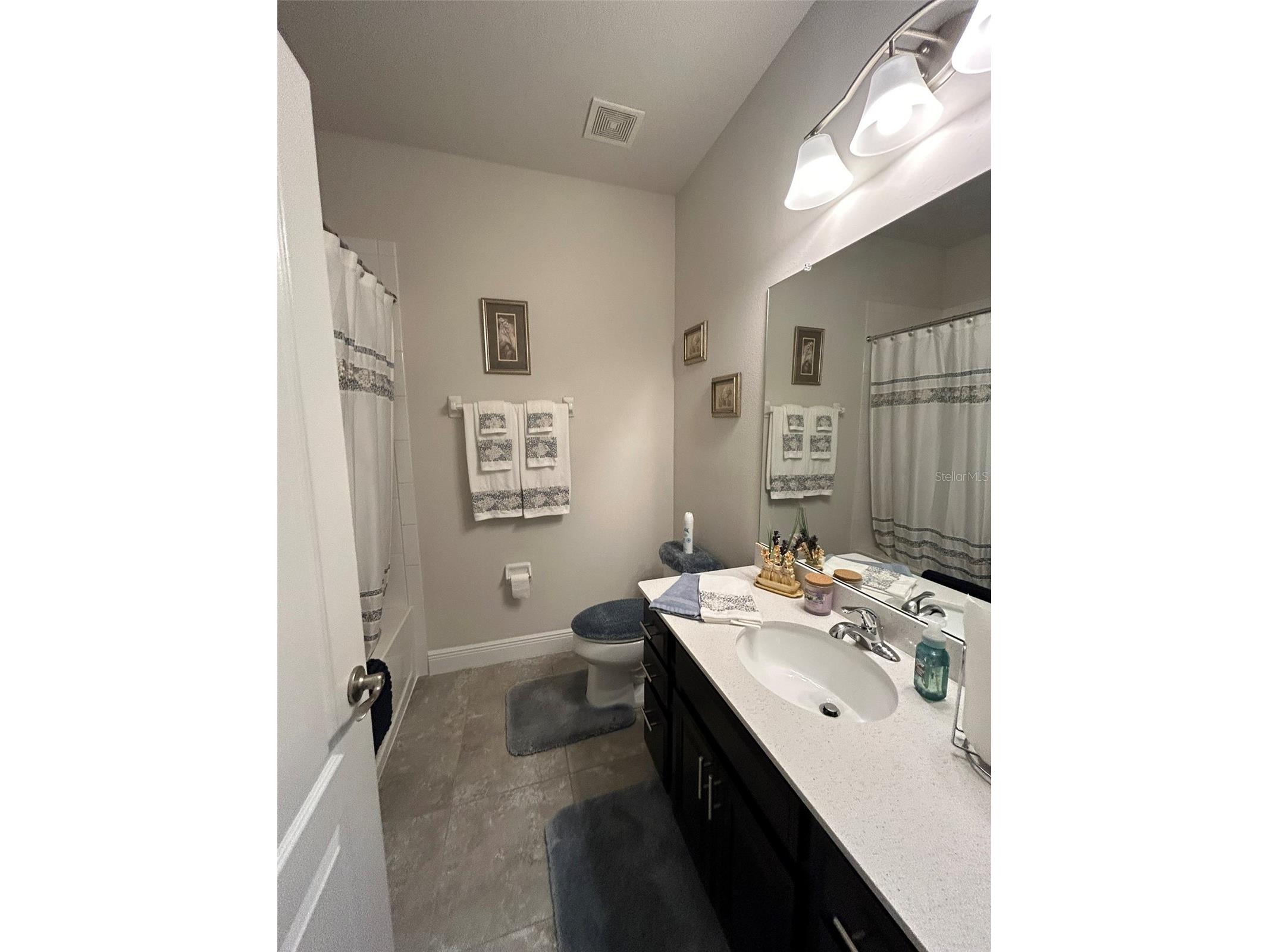 10647 Heron Hideaway Loop Land O Lakes FL 34638 TB8467591 image8